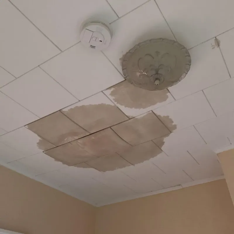 Ceiling Water Damage Repair in Clute, TX
