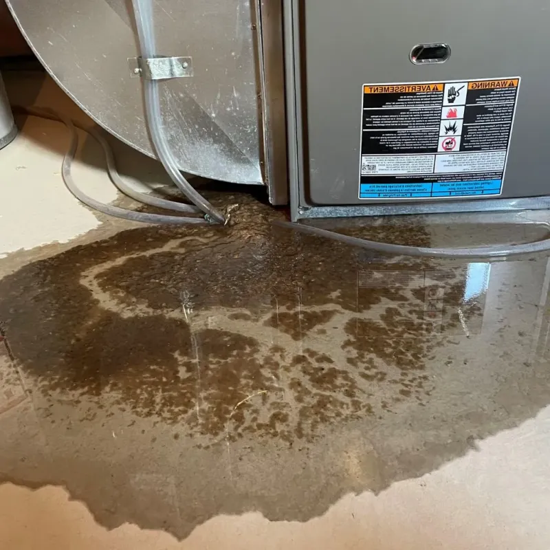 Pipe Burst and Leak Restoration in Clute, TX