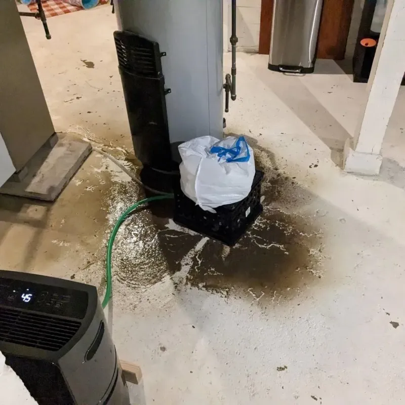 Sewage Backup Cleanup Service in Clute, TX